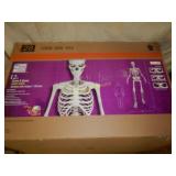 !2 Foot High Skeleton With Box