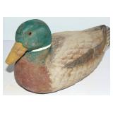 NICE VINTAGE DUCK DECOY - GLASS EYES MALLARD DRAKE