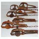7 ANTIQUE ANIMAL STEEL TRAPS