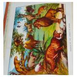 WILD ANIMALS of the JUNGLE and FOREST BOOK