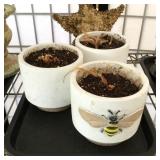 (3) Planters and Starfish