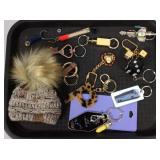 Tray Lot of Key Chains