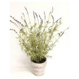 Planter with French Lavender