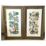 Pair of Sophie Porter Framed Prints