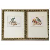 Pair of Framed Georg Flegel Prints