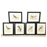 (6) Framed Bird Print, 9' x 11' Frames