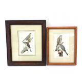 (2) Framed Lithograph Prints, Hawks