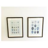 (2) Framed Prints, Wild Bird Eggs