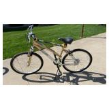 Schwinn Skyliner bike