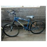 Roadmaster Mountain bike