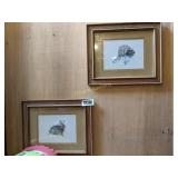 Raccoon & Rabbit framed pictures