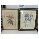 (2) framed flowered pictures