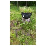 Cast iron kettle and spider