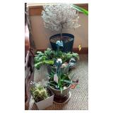 Potted Plants