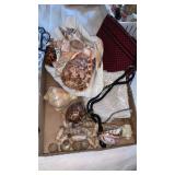 Sea shells and purses