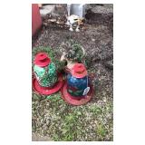 Hens & chickens plant and bird feeders