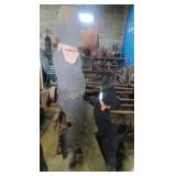 Man and dog shadow displays