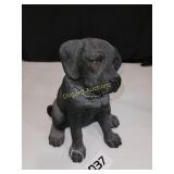 Labrador dog collector