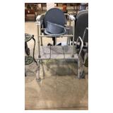 Toilet and shower chair