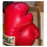 Ever last boxing gloves