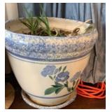 2 aloe plants in planters