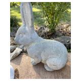 Concrete bunny