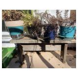 Plants with pots and bench