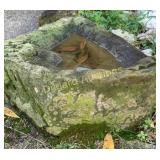 Bird bath trough rock