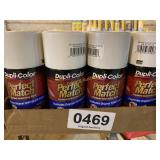 (24) Perfect Match automotive paint
