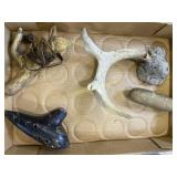 Antlers and Indian artifact?