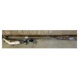 Fishing poles, mounted fish