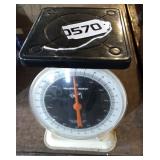 Health meter scale