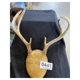 Antler mount