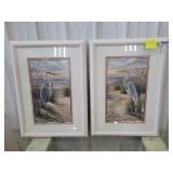 (2) Pelican pictures