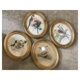Oval bird pictures in frames