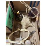 Nautical/ starfish decor
