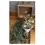 Plant decor, shelf