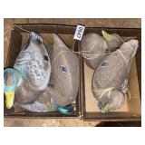 (5) Plastic duck decoys