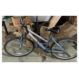 Roadmaster Bike