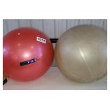 (2) Exercise balls