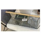 24' live trap