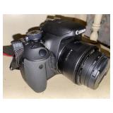 Canon EOS Rebel T3i, 250 mm lens