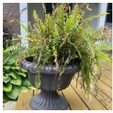(2) plastic flower pots