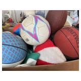 Sports Balls, cooler