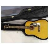 Rogue acoustical guitar w/ locking case