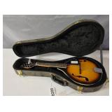 Rogue Mandolin with case, new