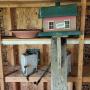 Bird feeders, houses and more
