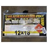New weather master Holly Tart (12 x 16)