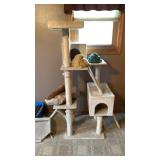 Cat climbing tower