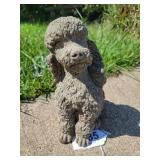 Concrete Poodle